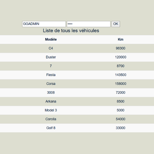 Image de mon projet - Garage.